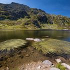 Bergsee