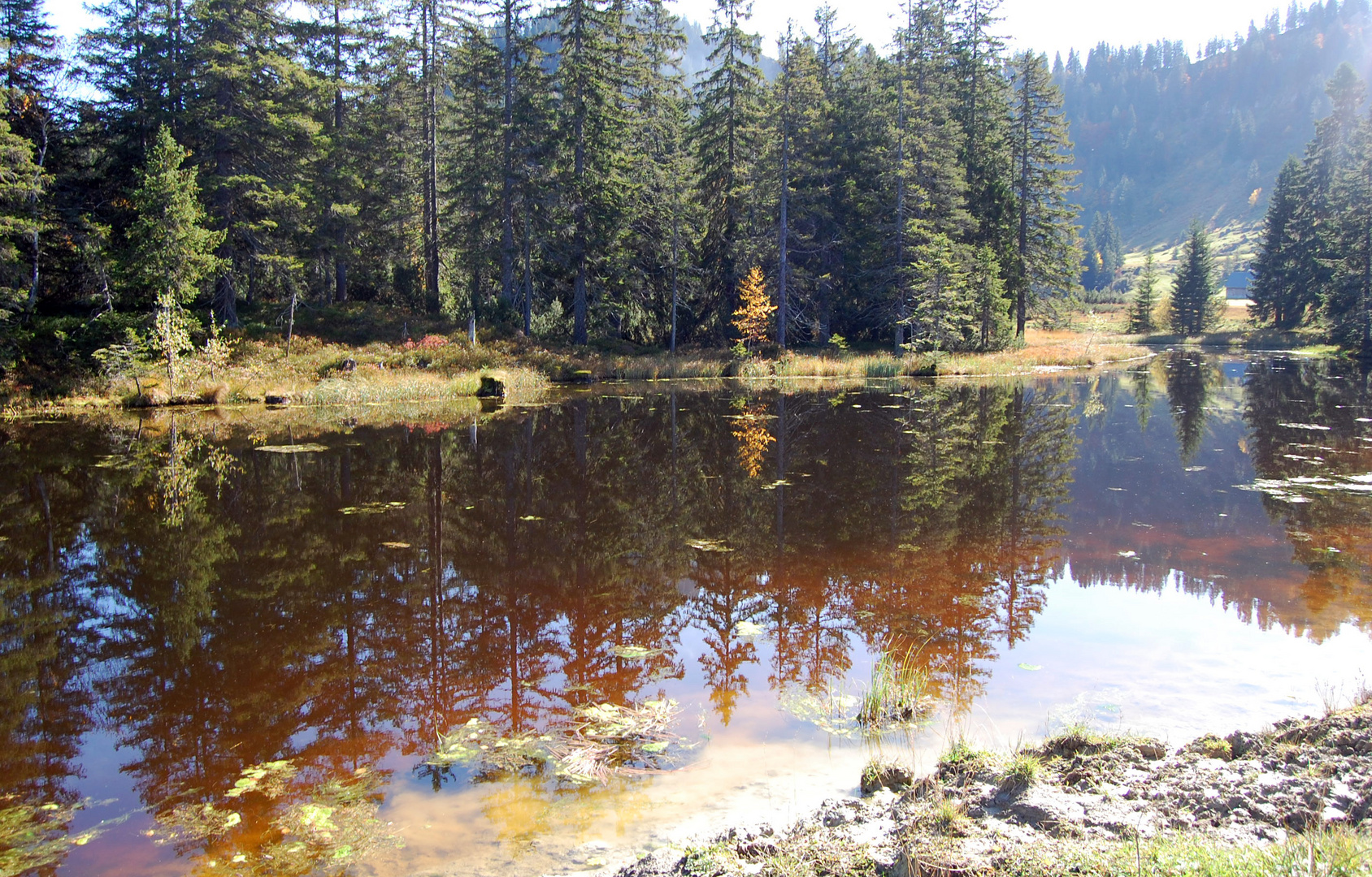 Bergsee