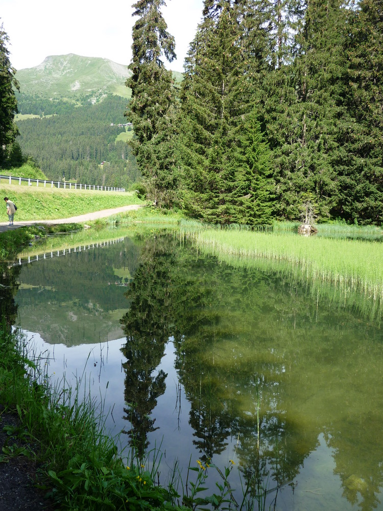 Bergsee