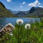 Bergsee