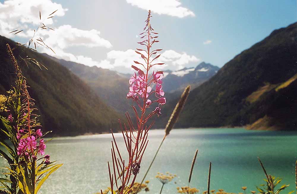 Bergsee