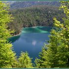 Bergsee am Fernpass