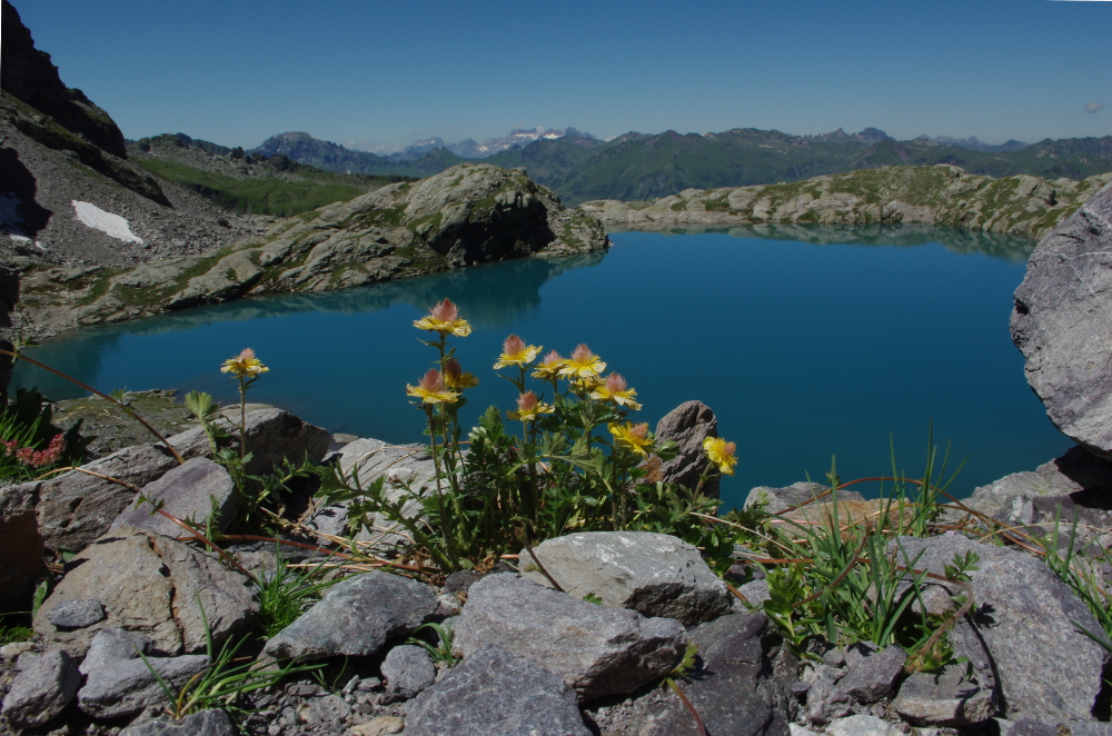 Bergsee am Pizol