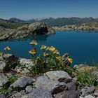 Bergsee am Pizol