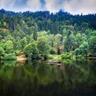 Bergsee auf 915 Höhenmeter........Spiegeltag