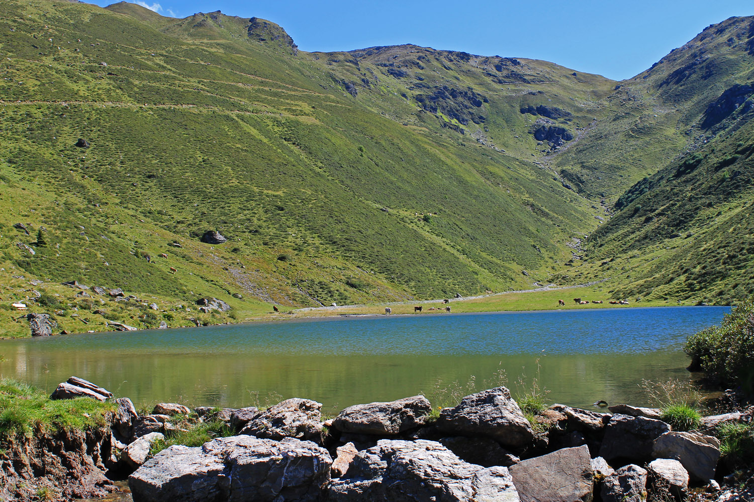 Bergsee