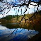 Bergsee Bad Säckingen