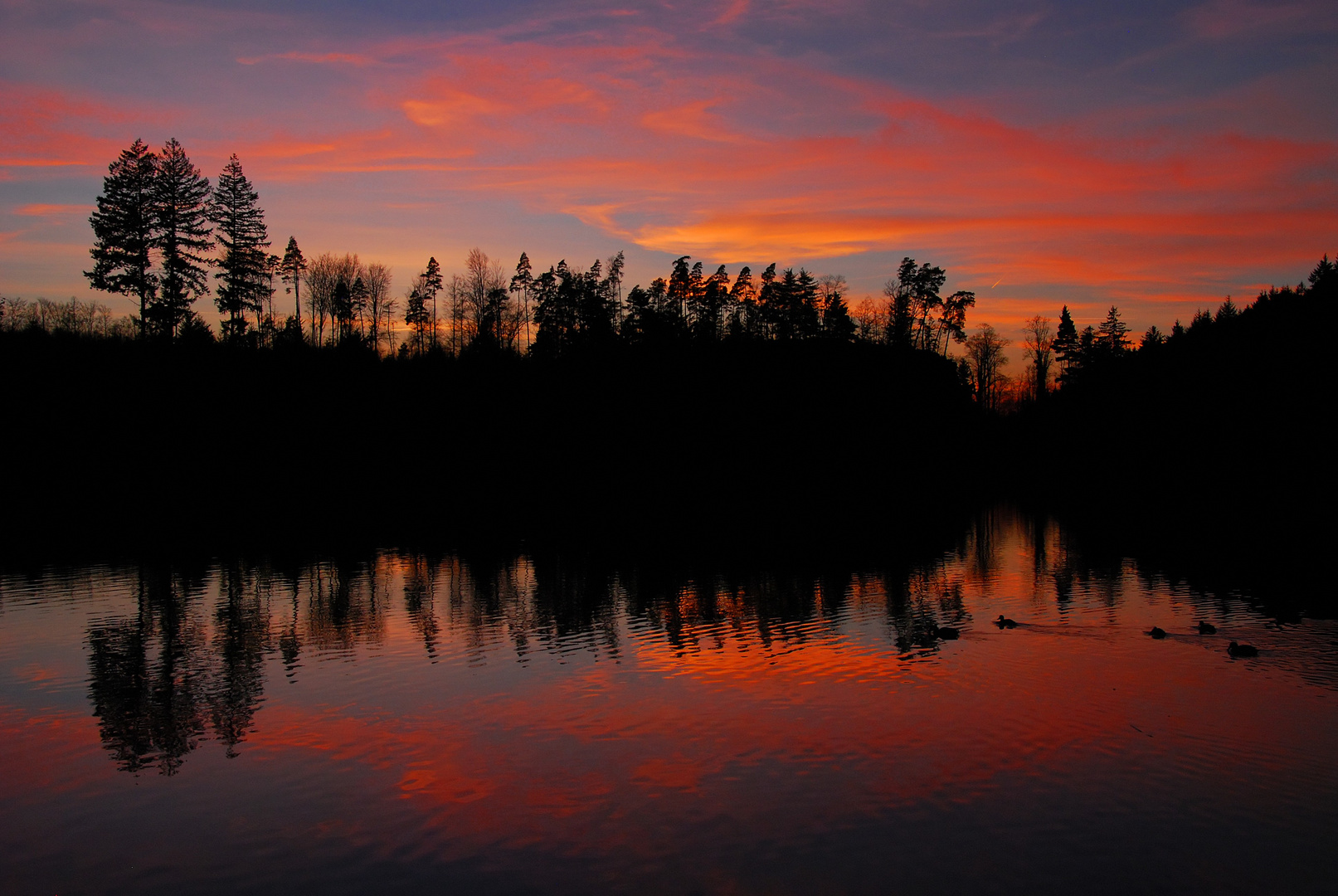 Bergsee, Bad Säckingen