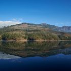 Bergsee bei Munnar