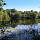 -Bergsee-Delliehausen-