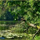 -Bergsee- Delliehausen...Natur pur-