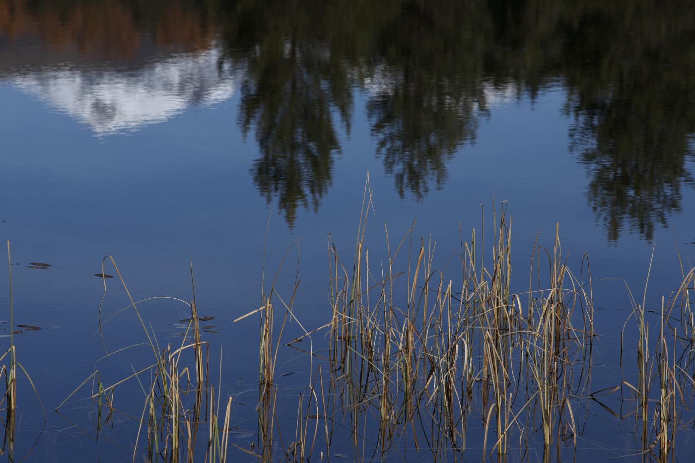 Bergsee