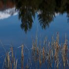 Bergsee