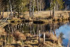 bergsee