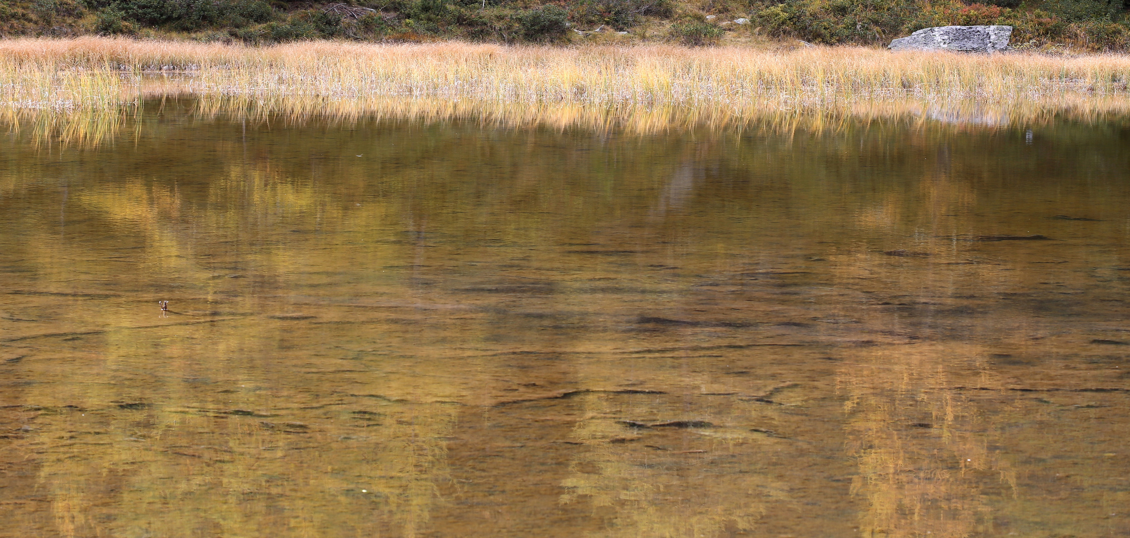 Bergsee im Herbst