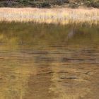 Bergsee im Herbst