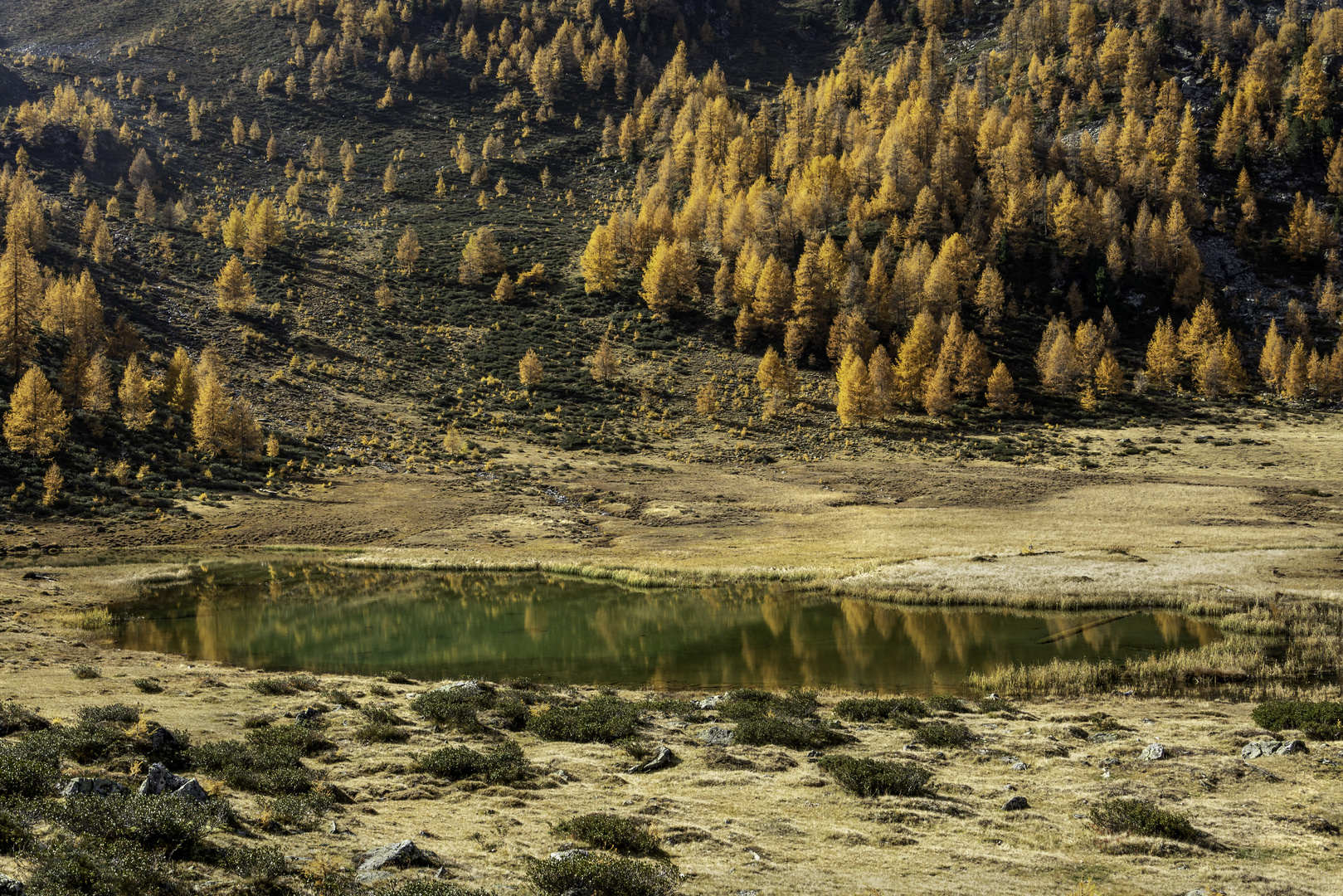 Bergsee im hintersten Ultental 