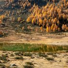 Bergsee im hintersten Ultental 