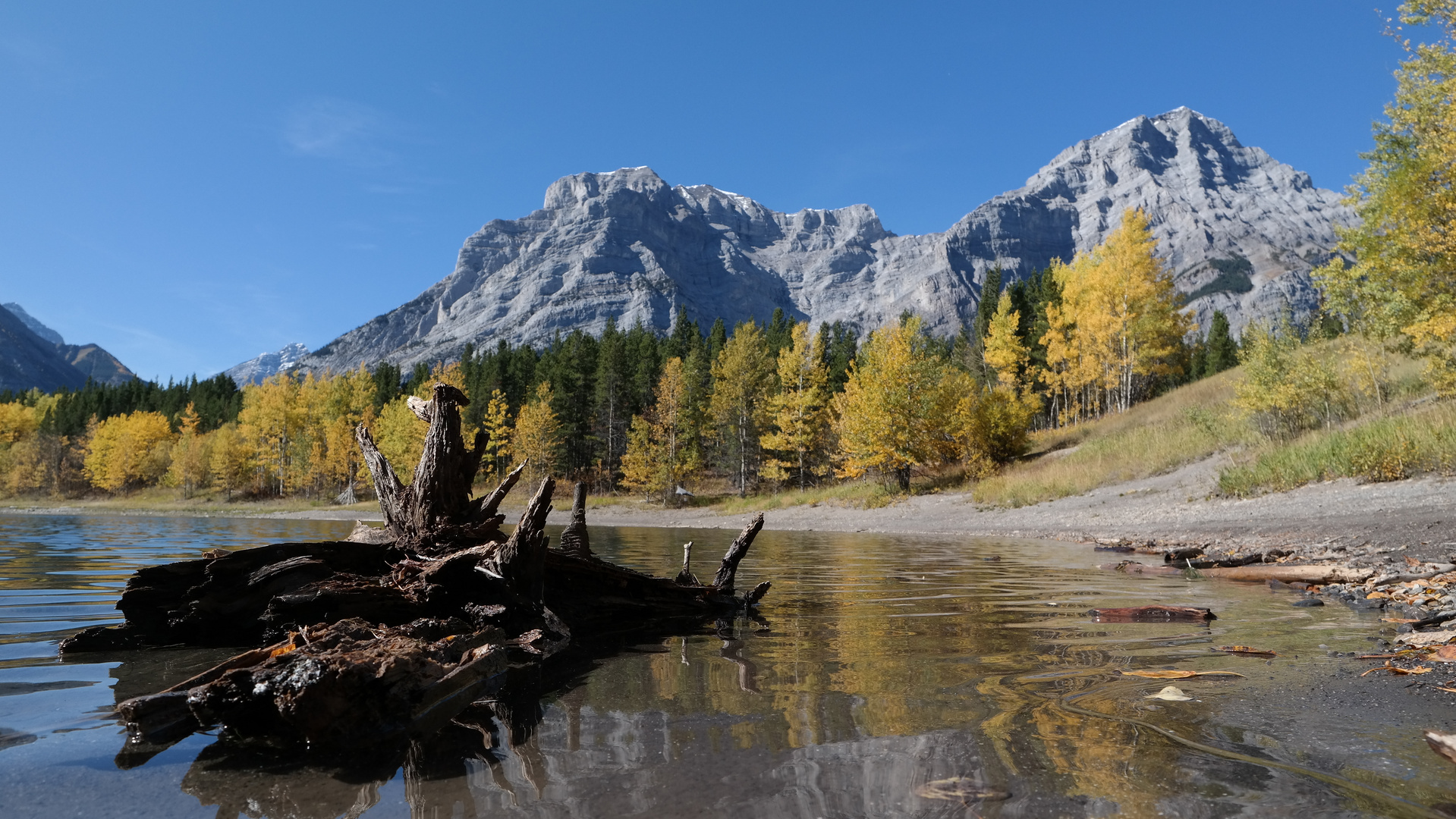 Bergsee im Indian Summer