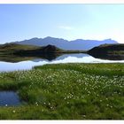 Bergsee im Nationalpark Hohe Tauern