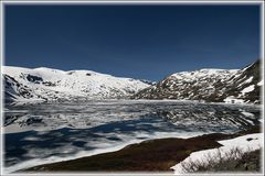 Bergsee im Sommer