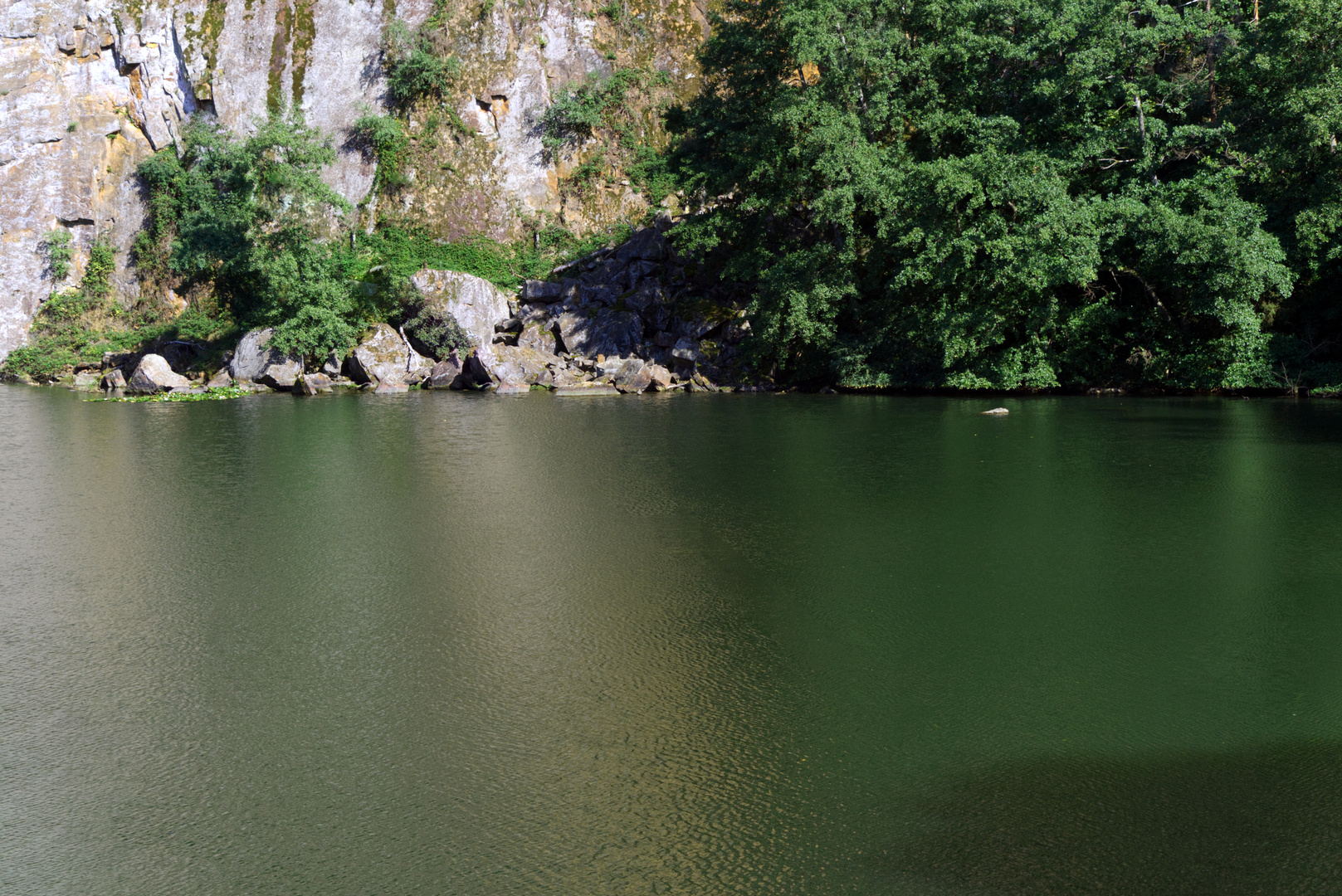 Bergsee im Südschwarzwald.