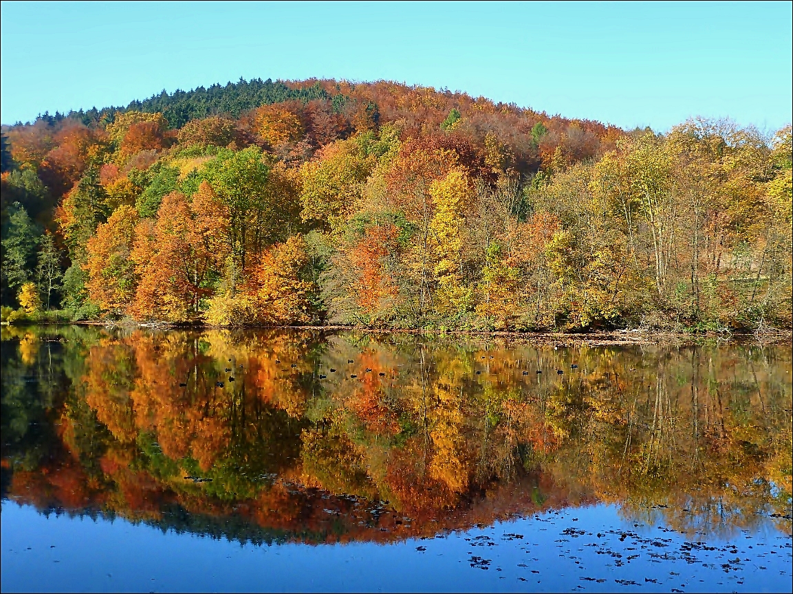 Bergsee in Delliehausen (2) - Oktober 2013