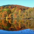 Bergsee in Delliehausen (2) - Oktober 2013