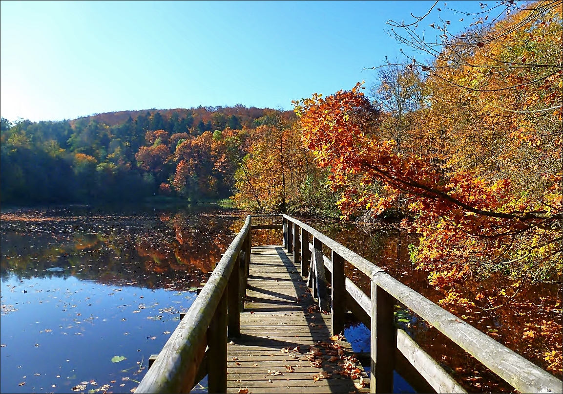 Bergsee in Delliehausen - Oktober 2013