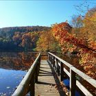 Bergsee in Delliehausen - Oktober 2013