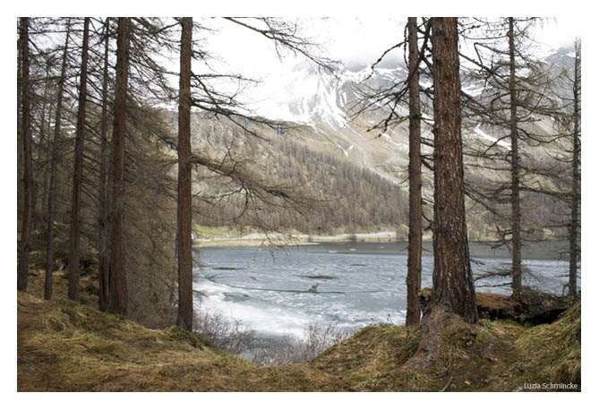 Bergsee In den Alpen