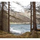 Bergsee In den Alpen