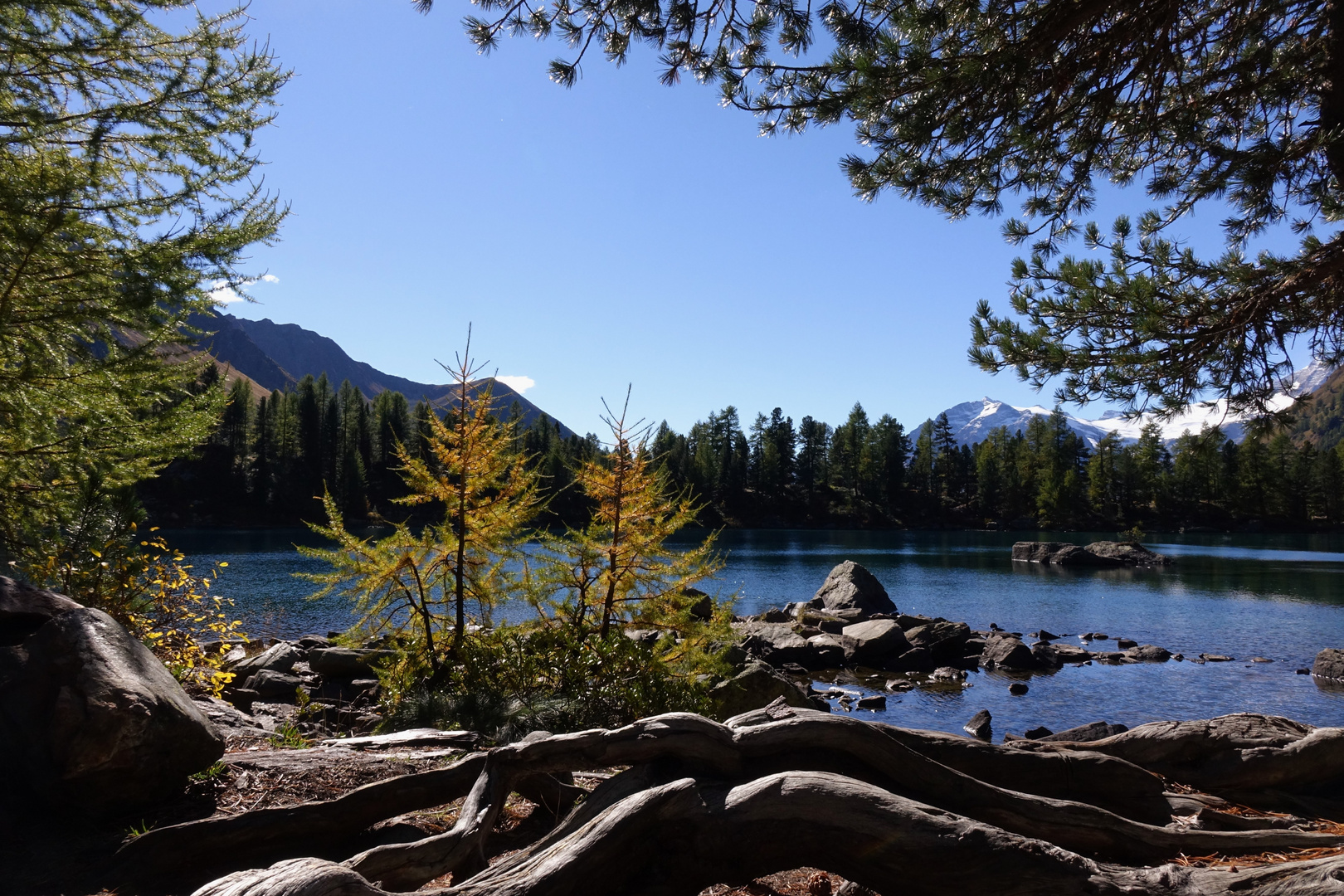 Bergsee Lago die Saoseo