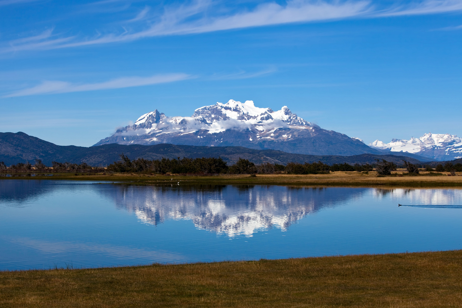 Bergsee mit Ente Foto & Bild south america, chile, torres del paine n