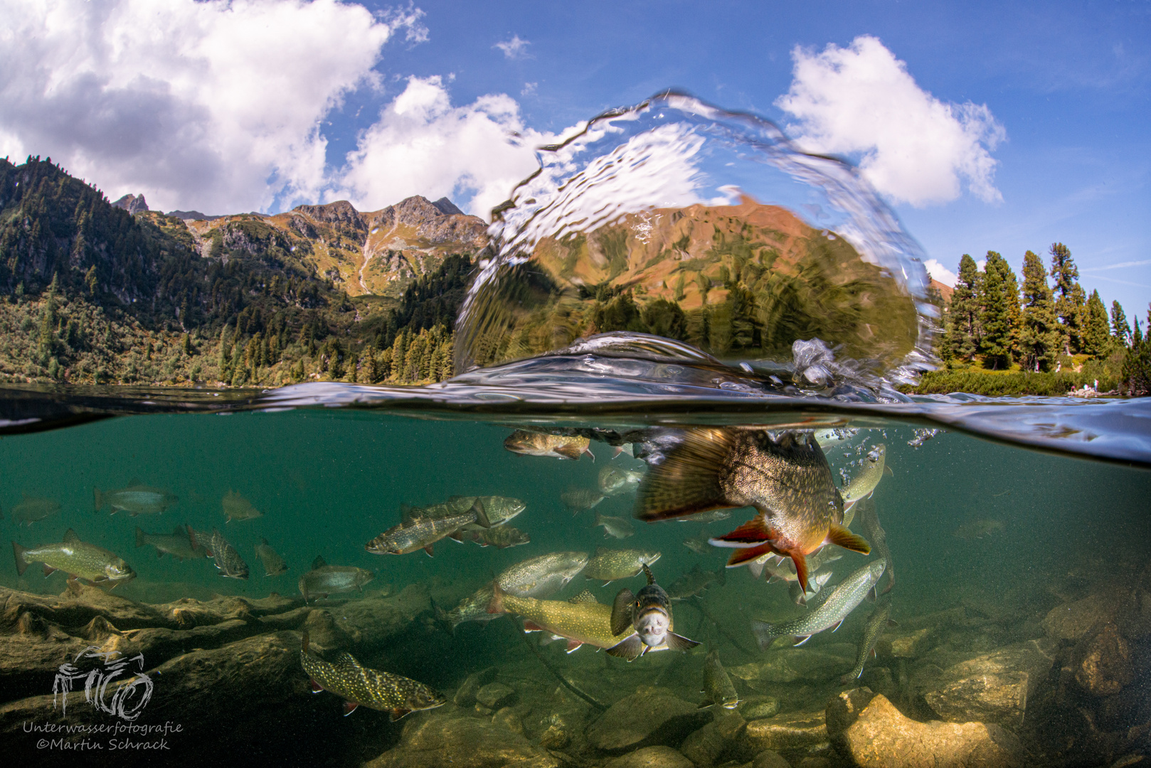 Bergsee mit Forellen