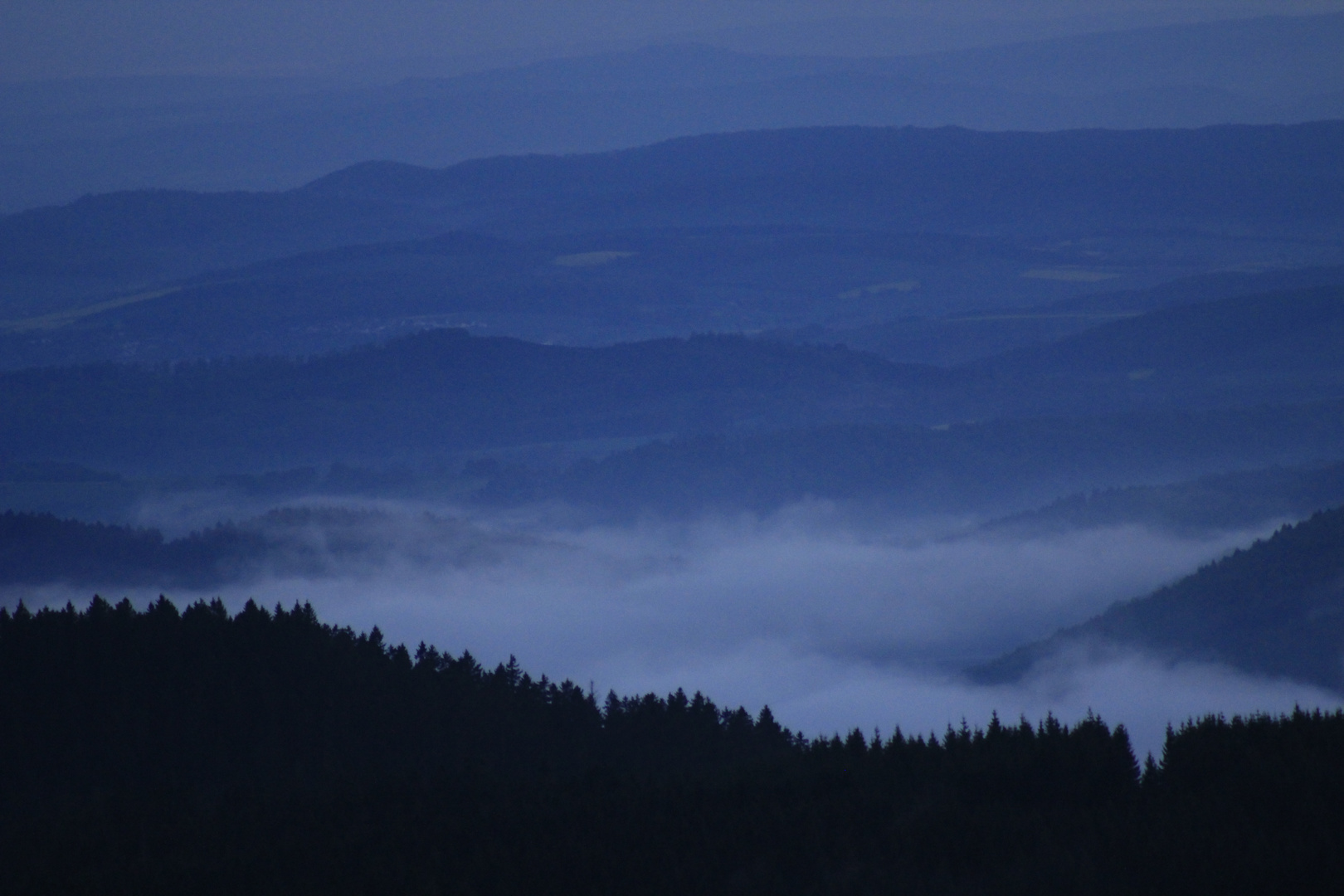 Bergsee mit nebel im Harz.