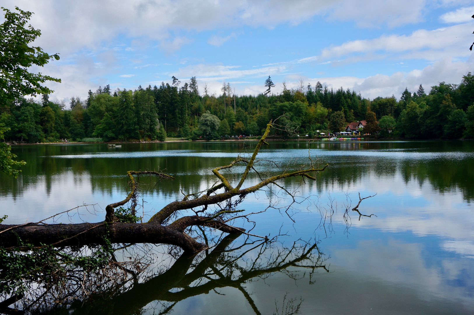 Bergsee oberhalb von Bad Säckingen