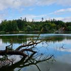 Bergsee oberhalb von Bad Säckingen