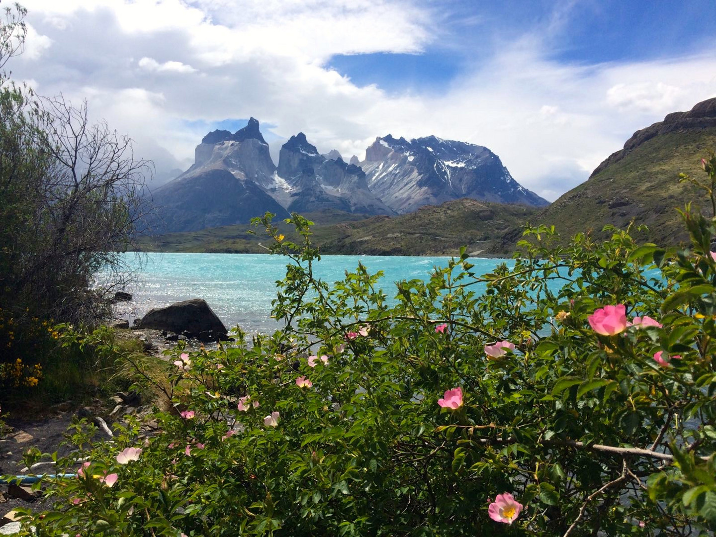 Bergsee Patagonien