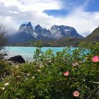 Bergsee Patagonien