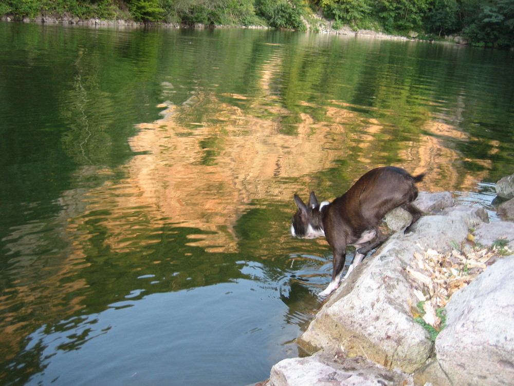 Bergseeidylle