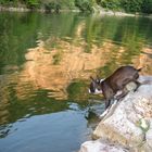 Bergseeidylle