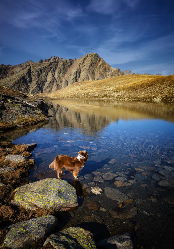 Bergseeidylle am Timmelsjoch