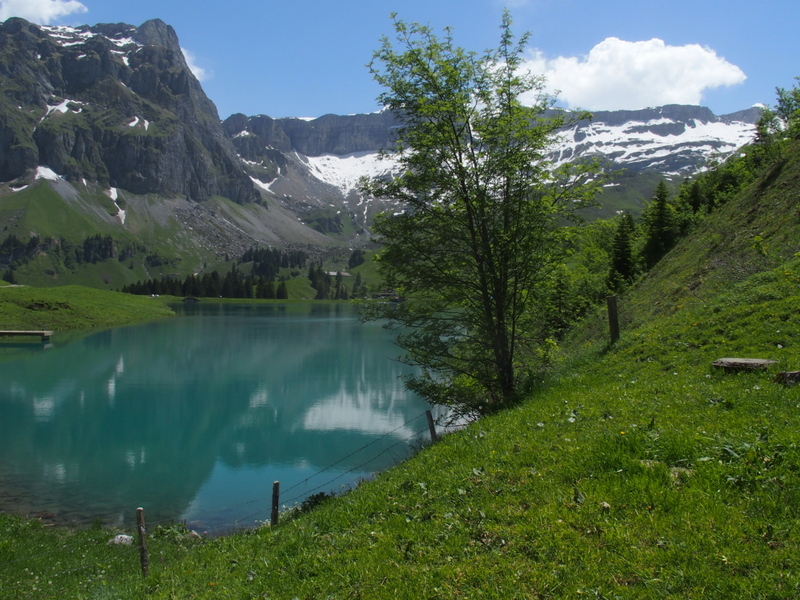 Bergseeidylle Waldisee (Muotathal) 1400 Meter