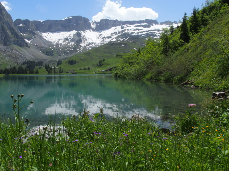 Bergseeidylle Waldisee (Muotathal) 1400 Meter