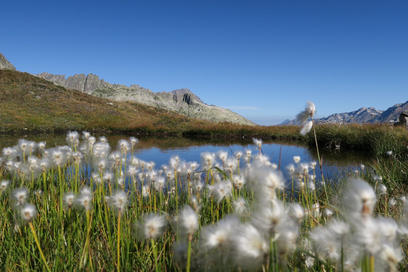 Bergseelein mit "Bergmanndli's", Grimsel