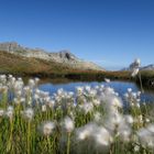 Bergseelein mit "Bergmanndli's", Grimsel