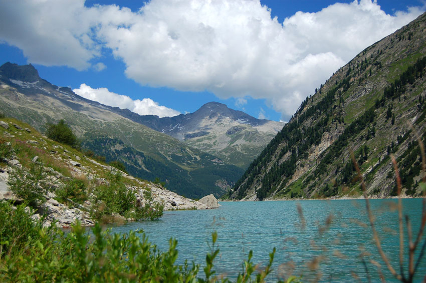 Bergseen sind kalt von Ysop II