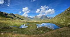 Bergseepano