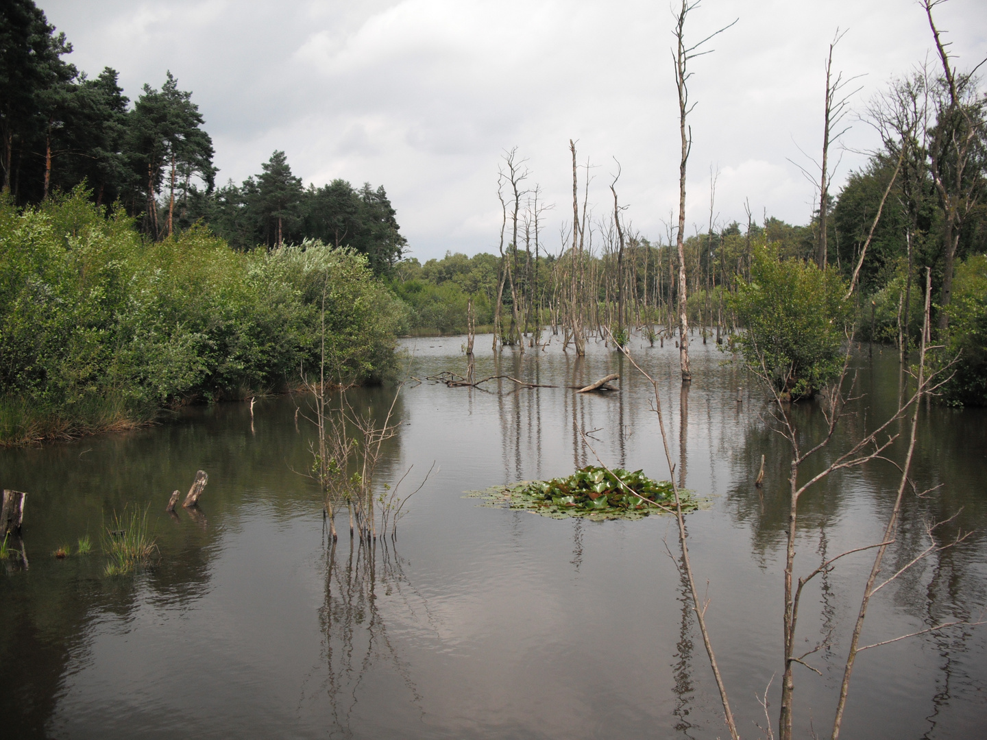 bergsenkung Foto & Bild deutschland, europe, nordrhein westfalen